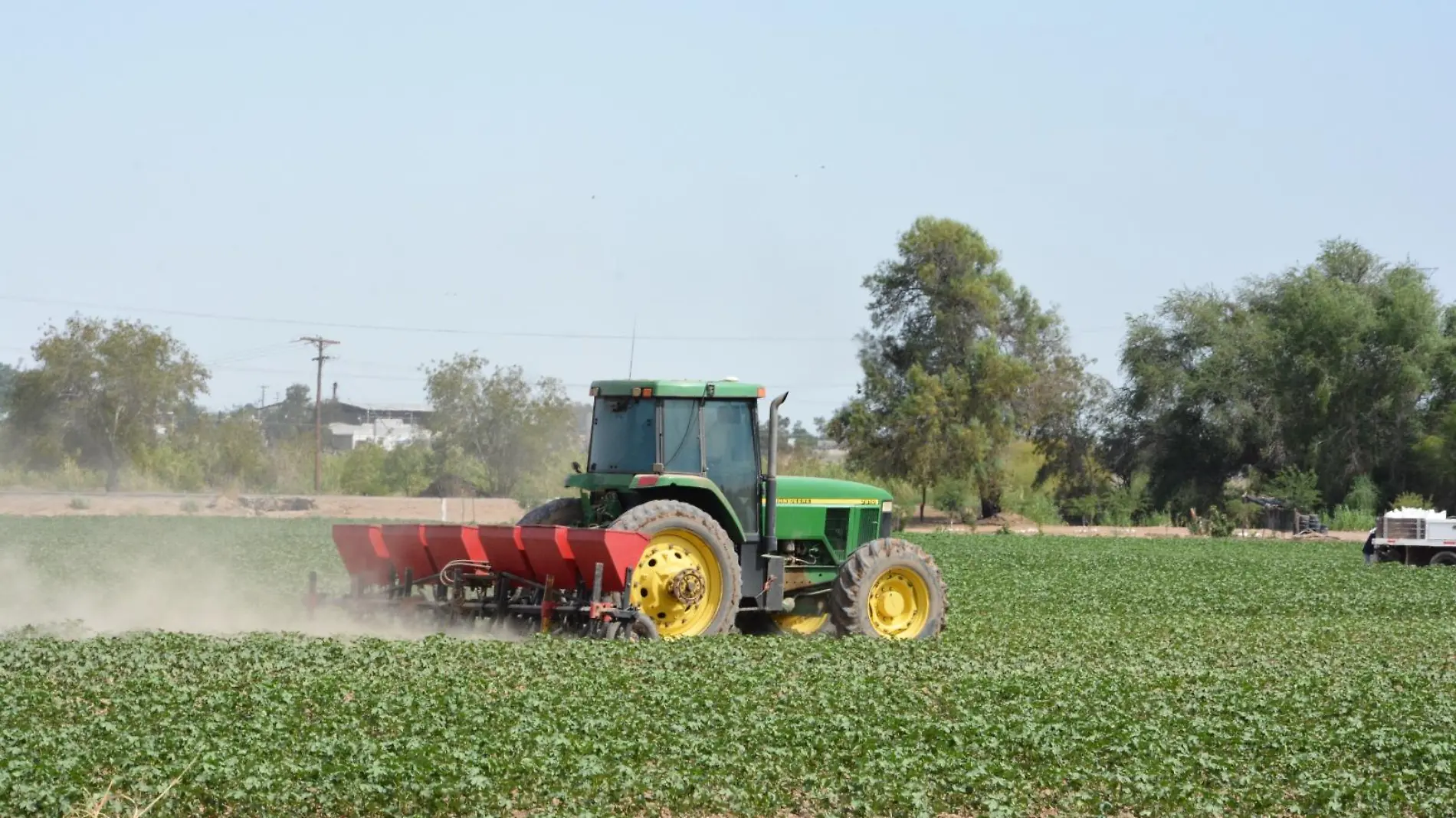 agricultores lamentan no estar en el programa de fertilizantes